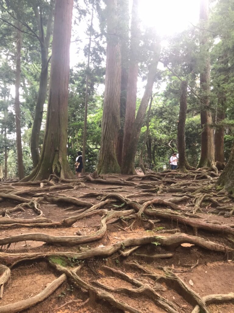 穴場スポットのイメージ