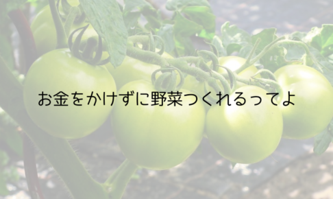 野菜をつくっているイメージ