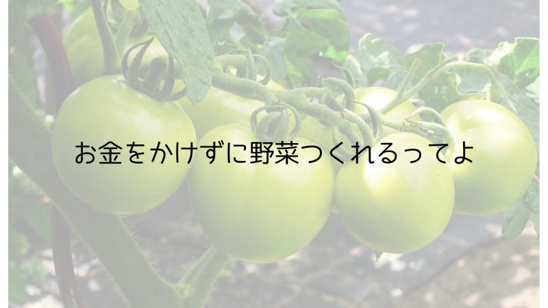 野菜をつくっているイメージ